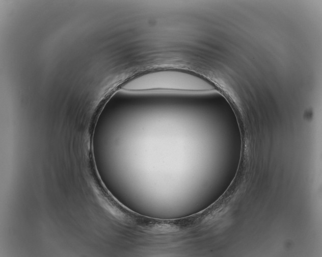 X0000091070397200708061027