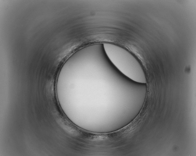X0000091070398200708061027