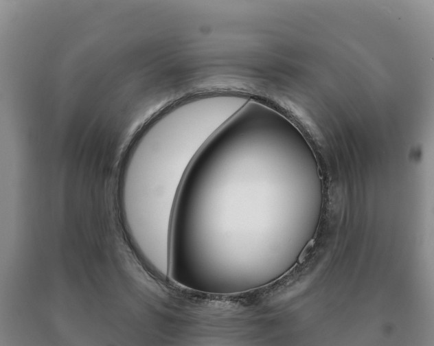 X0000091070399200708061027