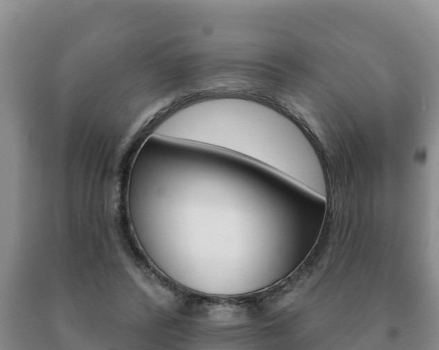 X0000091070400200708061027