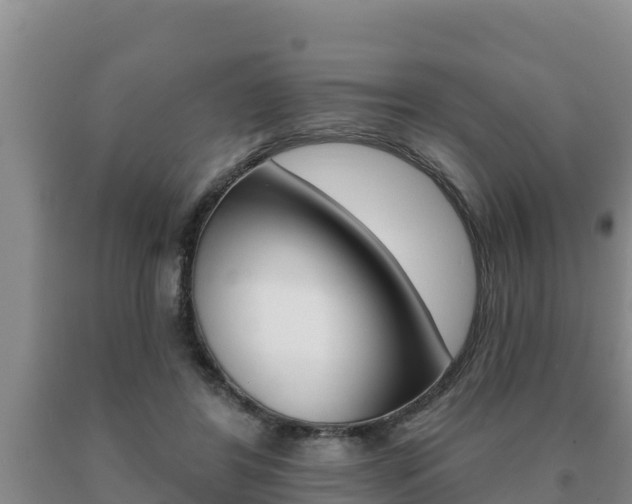 X0000091070404200708061027