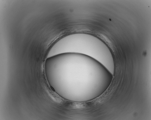 X0000091070405200708061027