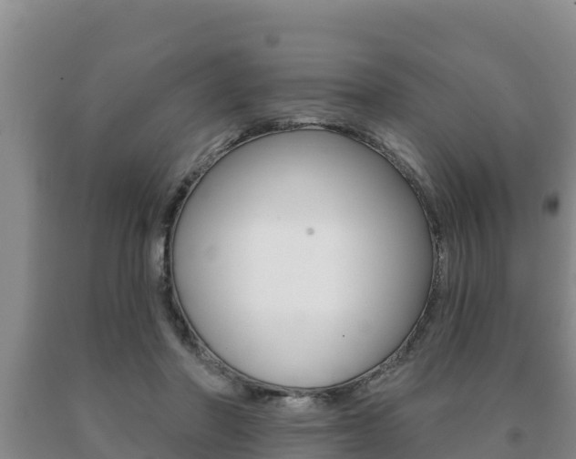 X0000091070406200708061027