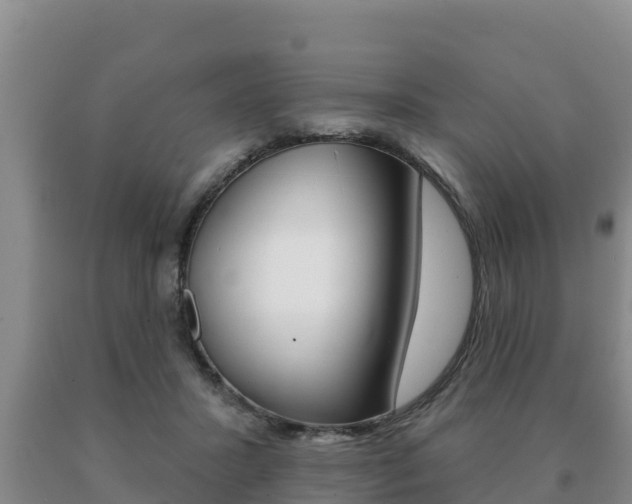 X0000091070407200708061027