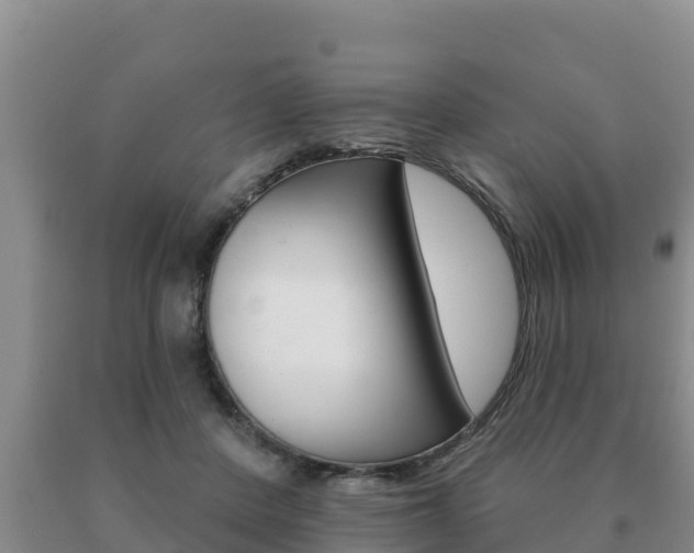 X0000091070408200708061027