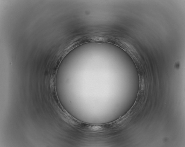 X0000091070409200708061027