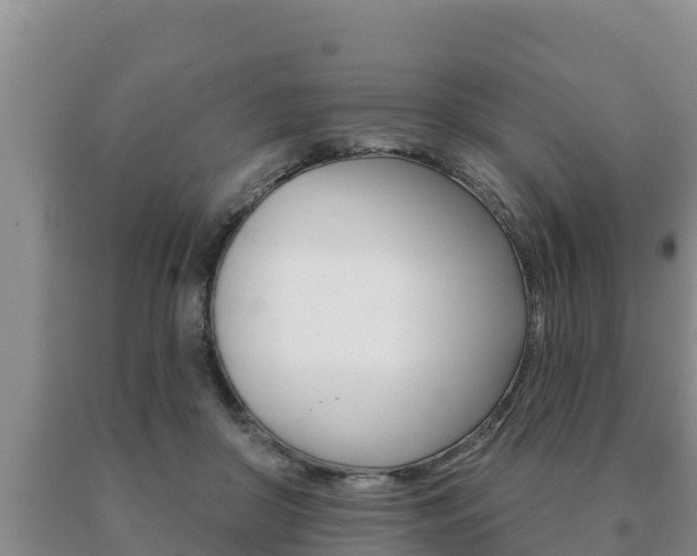 X0000091070410200708061027