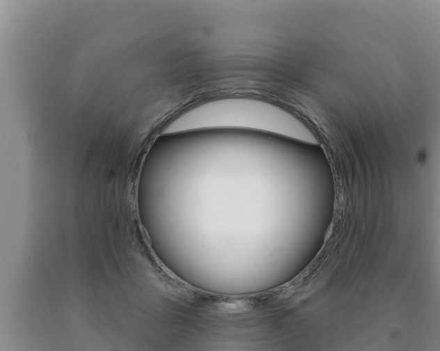 X0000091070411200708061027