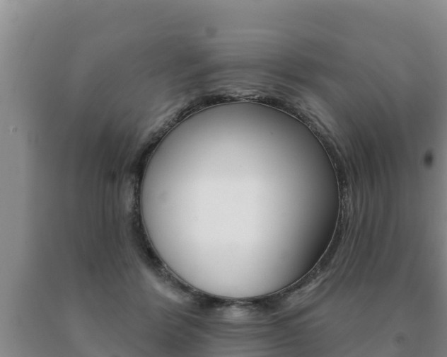 X0000091070412200708061027