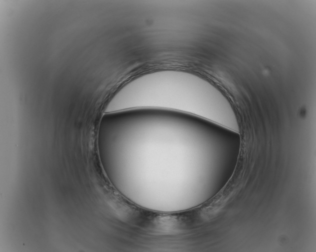 X0000091070413200708061027