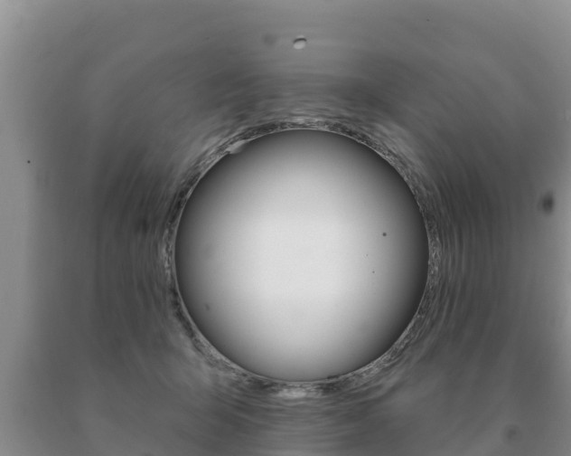 X0000091070415200708061027
