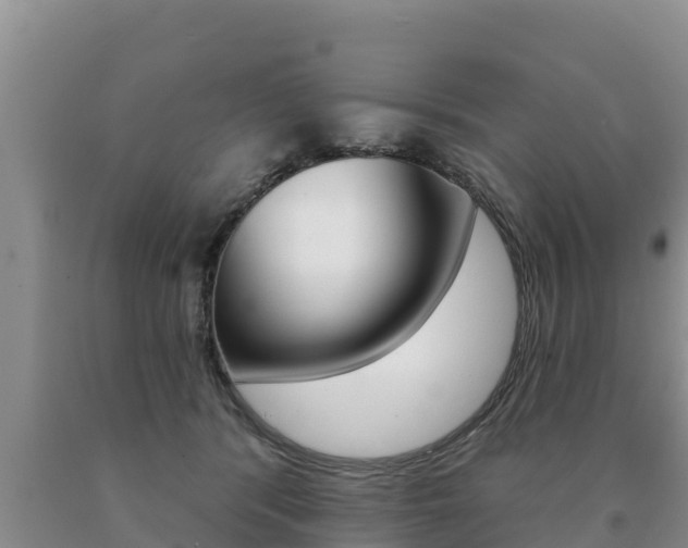 X0000091070416200708061027