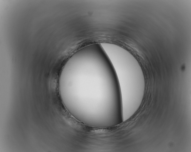 X0000091070417200708061027
