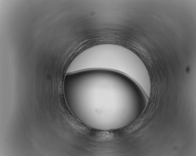 X0000091070421200708061027