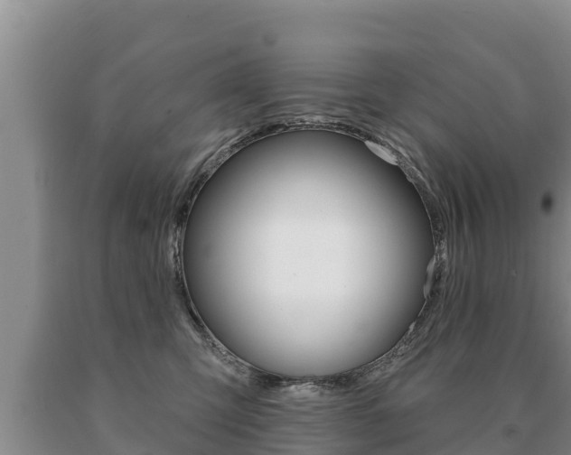 X0000091070423200708061027