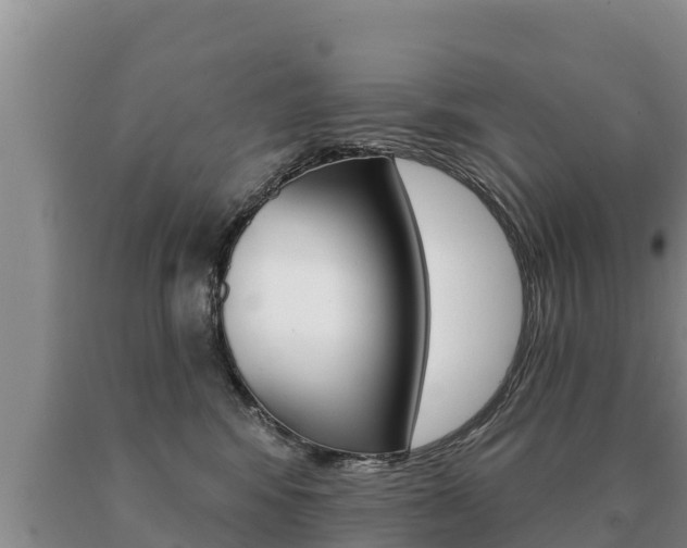 X0000091070424200708061027