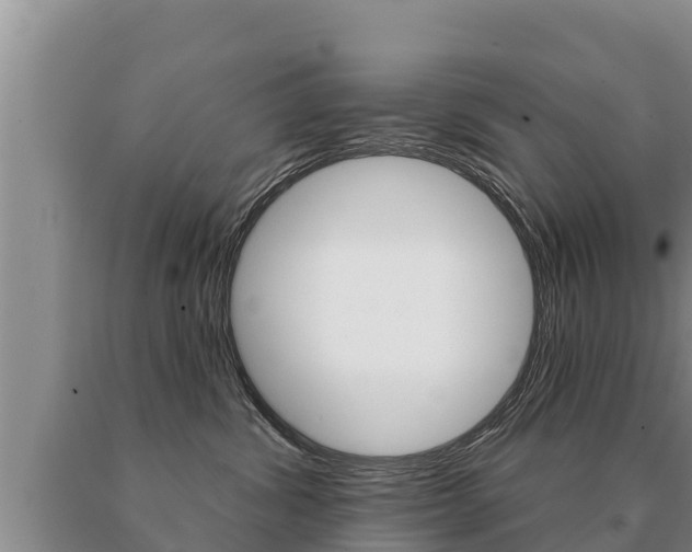 X0000091070428200708061027