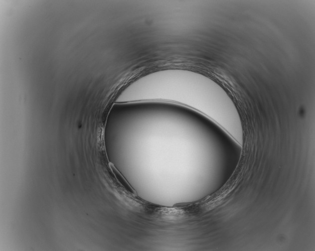 X0000091070429200708061027