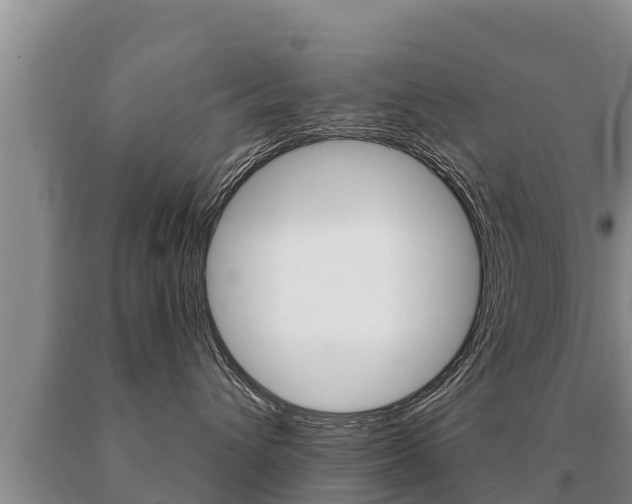 X0000091070432200708061027