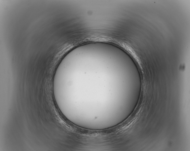 X0000091070433200708061026