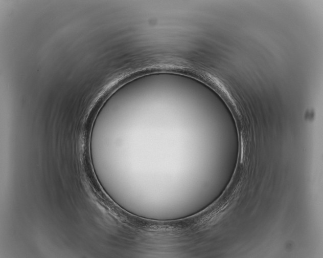 X0000091070435200708061026