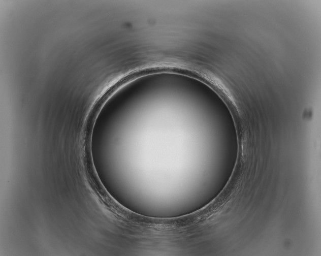 X0000091070436200708061026
