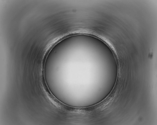 X0000091070437200708061026