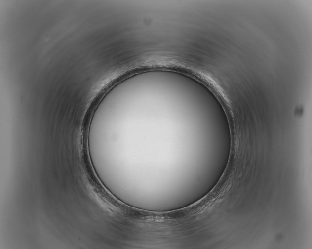 X0000091070439200708061026