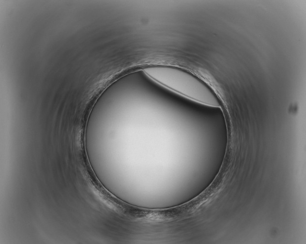 X0000091070441200708061026
