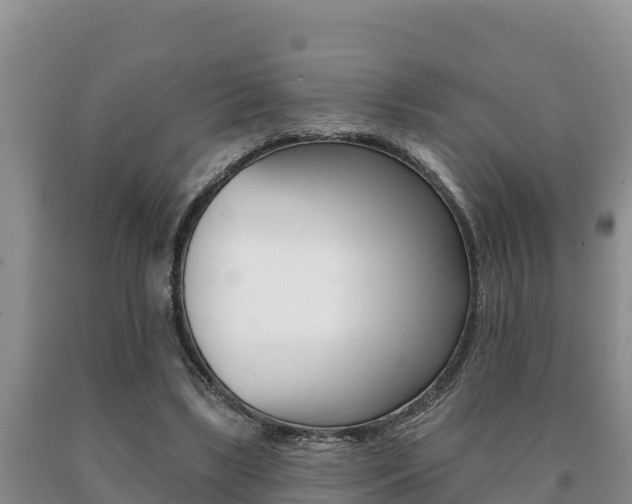 X0000091070443200708061026