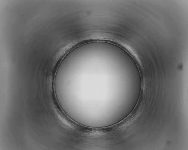 X0000091070445200708061026