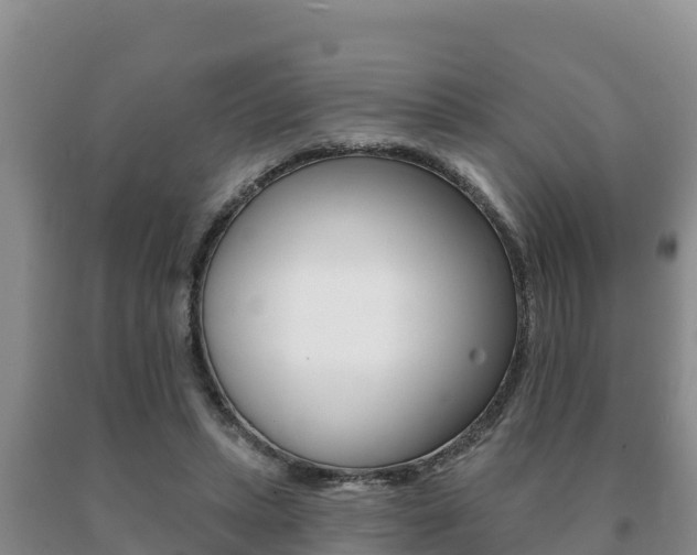 X0000091070447200708061027