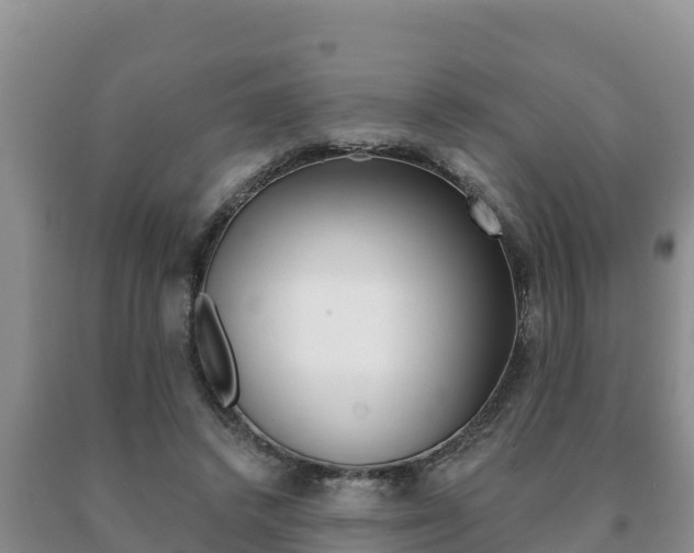 X0000091070448200708061027