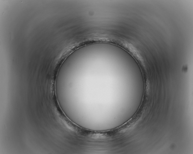 X0000091070449200708061027