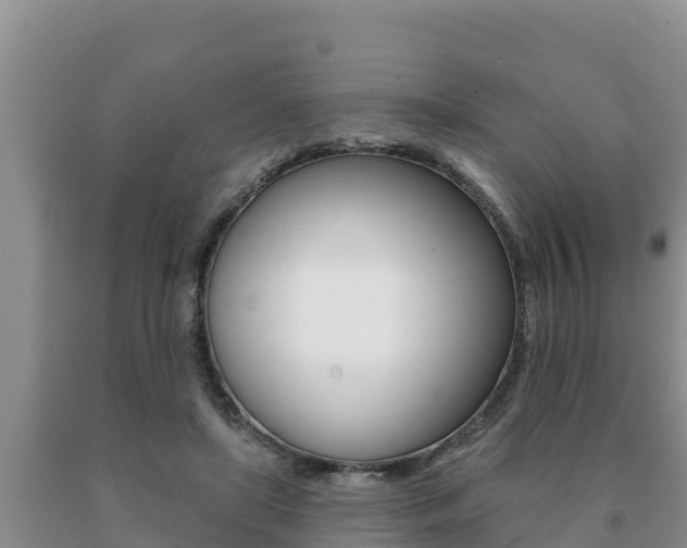 X0000091070451200708061027
