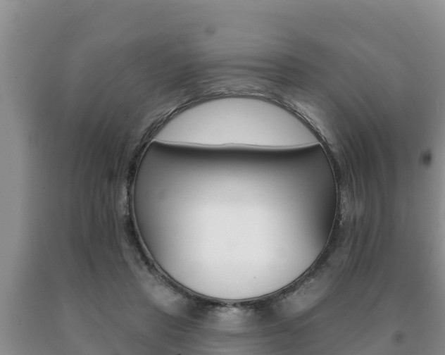 X0000091070453200708061027