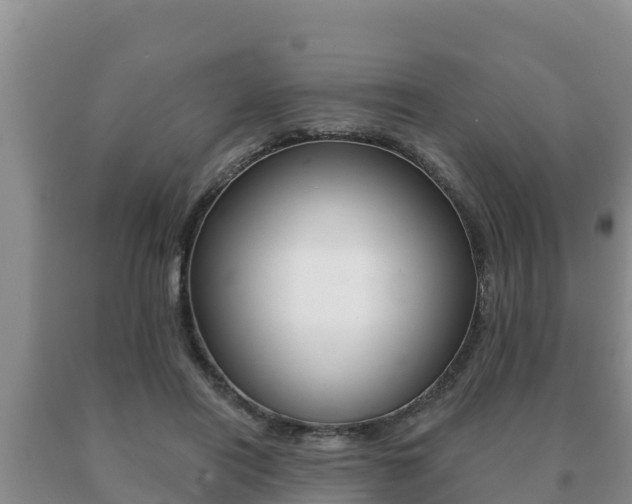 X0000091070454200708061027