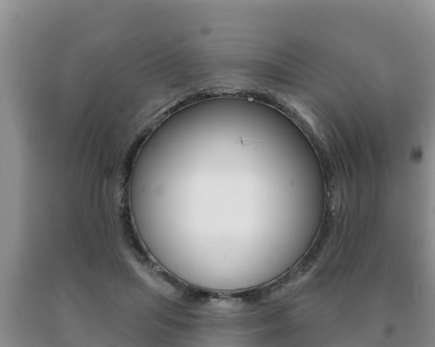 X0000091070455200708061027
