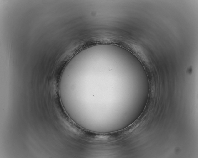 X0000091070457200708061027