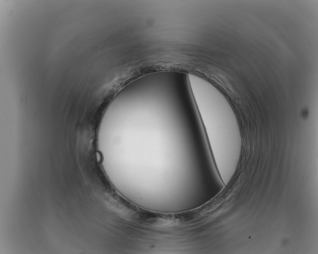 X0000091070458200708061027