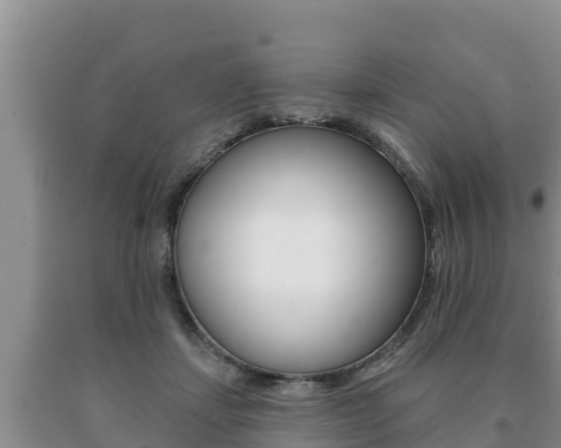 X0000091070459200708061027