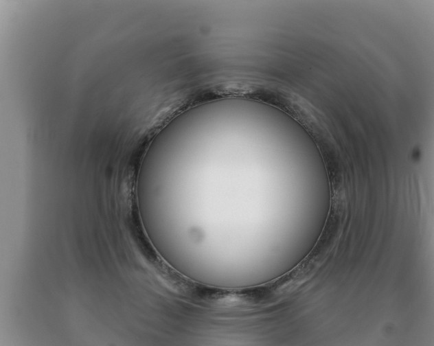 X0000091070460200708061027