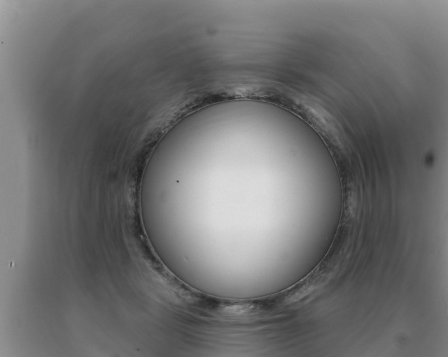 X0000091070461200708061027