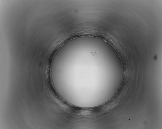 X0000091070462200708061027