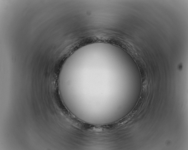 X0000091070464200708061027