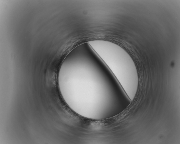 X0000091070470200708061027
