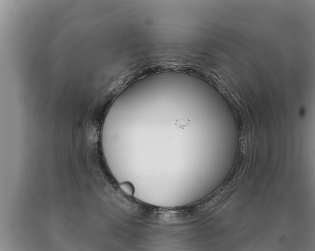 X0000091070472200708061027