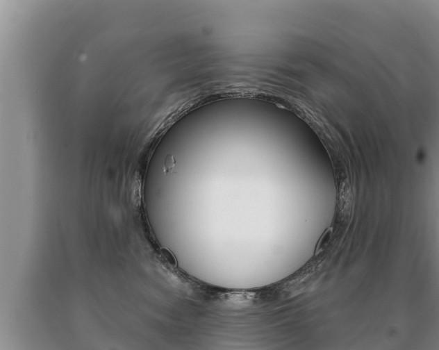 X0000091070474200708061027