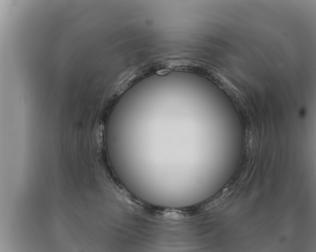 X0000091070475200708061027