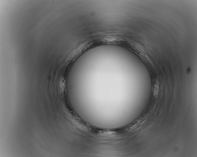 X0000091070476200708061027